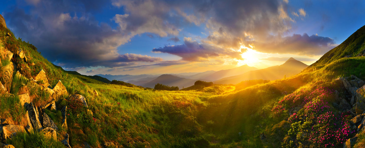 魂甦師 でぐっちゃん